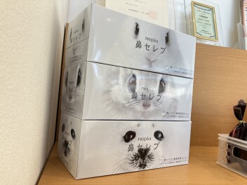 保険診断で鼻セレブプレゼント！プレミアム商談会も今週末まで！！